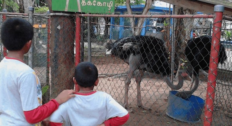 Sri Lankan Education Needs Oxygen – Part I